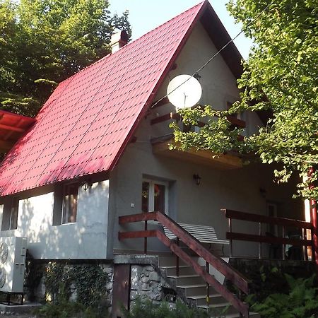 Casa De Oaspeti Boga Pietroasa  Exterior foto